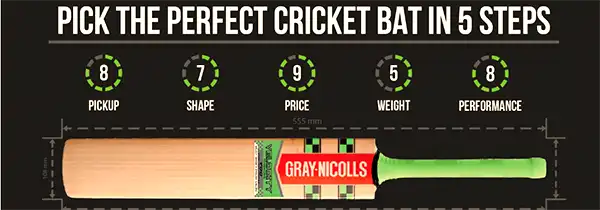 Pick the Perfect Cricket Bat in 5 Steps