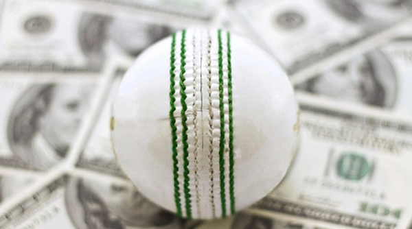 cricket gaming