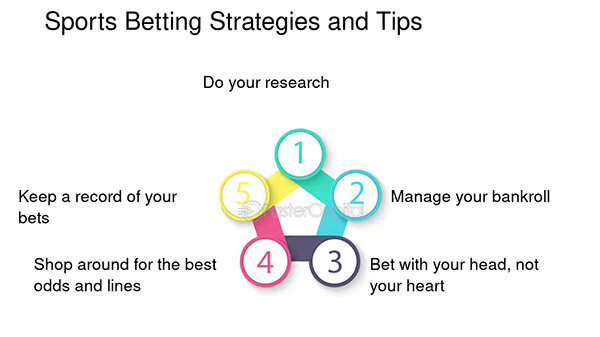 Sports betting strategies and tips