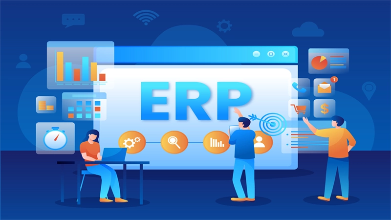 d-Choice Between Oracle and SAP ERP