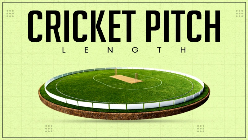 cricket pitch length