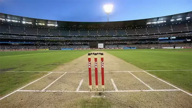 d-Cricket Pitch Length