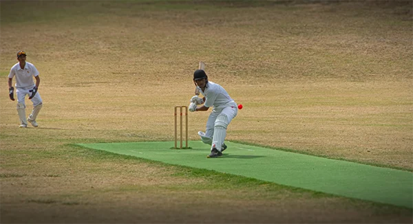 Cricket Betting