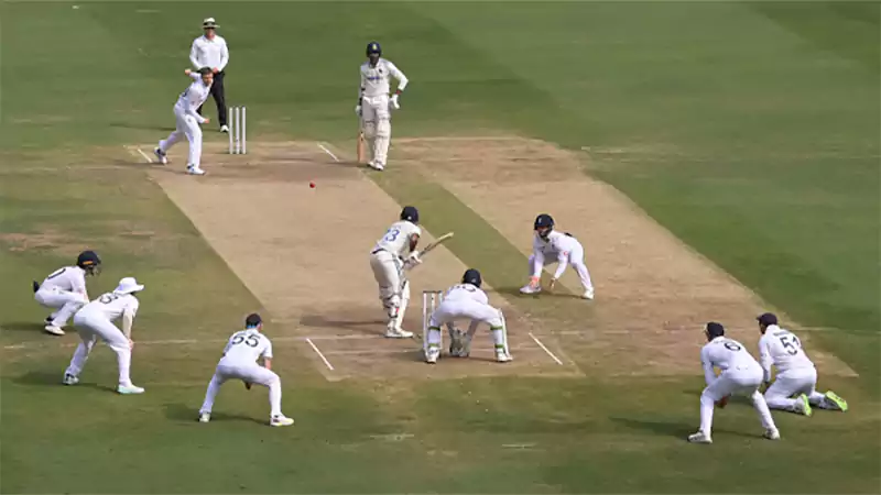 d-Cricket Fielding Positions