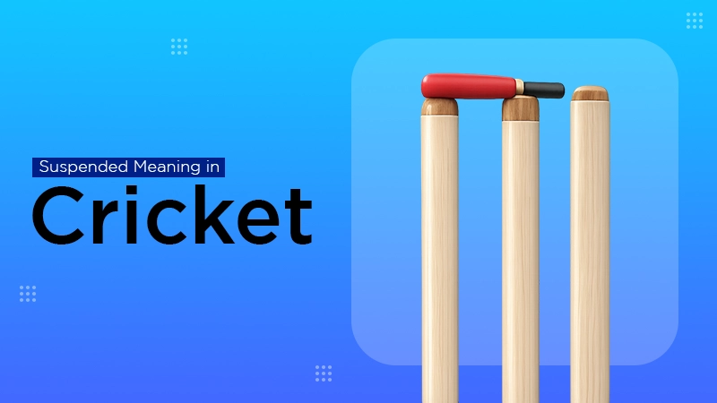 Suspended Meaning in Cricket