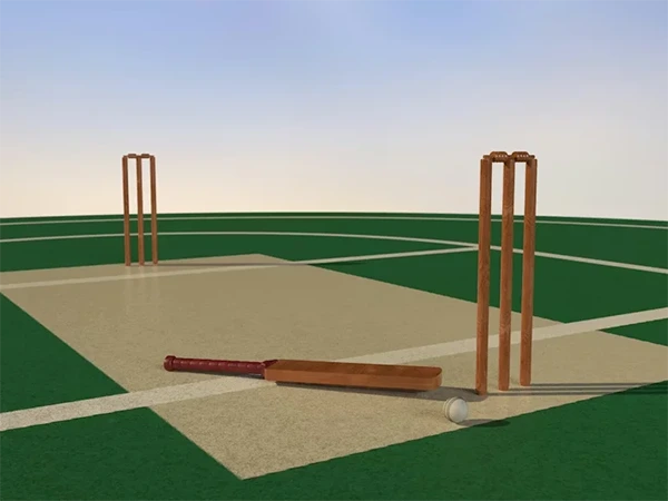 Cricket Pitch