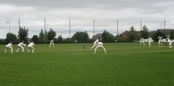 Emerging Cricket
